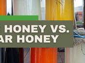 Organic Honey Regular