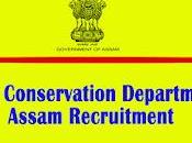 Soil Conservation Department Assam Recruitment Accountant Data Entry Operator Posts