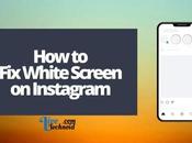 White Screen Instagram