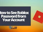 Roblox Password from Your Account