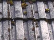 Fundamental Roofing Guidelines