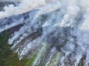 Alaska Fire: Thousands Lightning Strikes Warming Climate Pace Another Historic Fire Season
