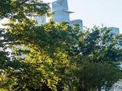 Trip Through Hoboken Greenery