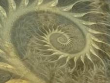 Inner Worlds, Outer Worlds