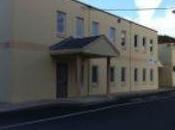 World Gone Mad, Grace Trunk Tree