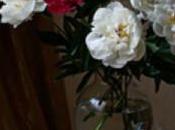 Tolerance Love Lust Spells!