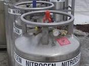 Nitrogen Boost Methanol Fuel Cells’ Performance