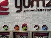 Yumz Gourmet Frozen Yogurt Tasty Family Treat