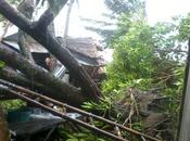 Philippines Typhoon Relief Renewal Fund Help