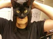 Day: Meet CatMan