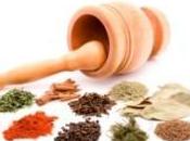 Homeopathic Remedies Your Allergies Treatments