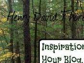 Inspiration Your Blogging, Writing Creativity: from Thoreau Need Tonic Wilderness."