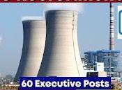 Posts NTPC Recruitment 2022-National Thermal Power Corporation Limited- Last Date July Sarkari Exam