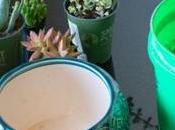 Make Succulent Soil Recipe Guide