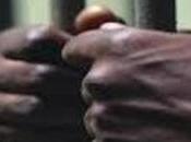 Stole from Temple Trees Remanded