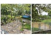 Most Un-child Friendly Park: Jurong Eco-Garden