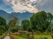 Nishat Bagh Jammu Kashmir