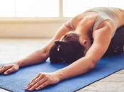 Essential Yoga Poses Beginners
