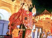 Indi Raja Carrying Sacred Relics Casket