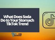 What Does Soda Your Stomach TikTok Trend