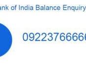 Balance Enquiry Number