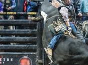 Bull Riders Reveal Trading Card Game