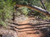 Hiking Larapinta Trail