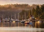 What Should Done Friday Harbor,