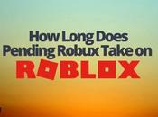 Long Does Pending Robux Take?