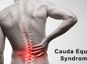 Ayurvedic Treatment Cauda Equina Syndrome With Herbal Remedies