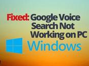 Fixed: Google Voice Search Working