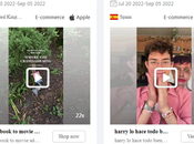 PiPiADS Review: Best TikTok Etsy Tool?