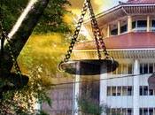 Petitions Against Glyphosate Lift