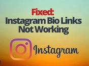 Fixed: Instagram Links Working