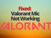 Fixed: Valorant Working