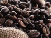 Best Coffee Trivia Morning Refreshment