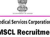 AMSCL Recruitment 2022 Executive Senior Finance Controller Post