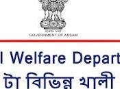 Social Welfare Department Recruitment 2022 Various Vacancy