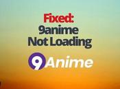 Fixed: 9anime Loading