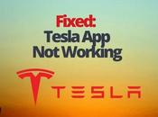 Fixed: Tesla Working