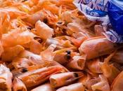 Your Moisturizer Insecticide Could Soon Include Component from Shrimp Shells