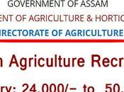 Agriculture Recruitment 2022 Apply Various Vacancy