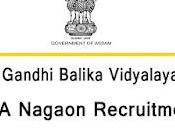 Nagaon Recruitment 2022 Assistant Teacher Head Vacancy