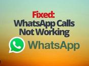 Fixed: WhatsApp Calls Working