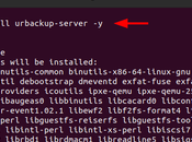 Install UrBackup Backup System [сервер/клиент] Ubuntu