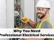 Need Professional Electrical Services?