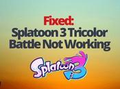Fixed: Splatoon Tricolor Battle Working