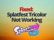 Fixed: Splatfest Tricolor Working