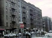 Bronx Novel (Part Two): Building Alliances