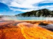 Amazing National Park Trivia Questions Answers